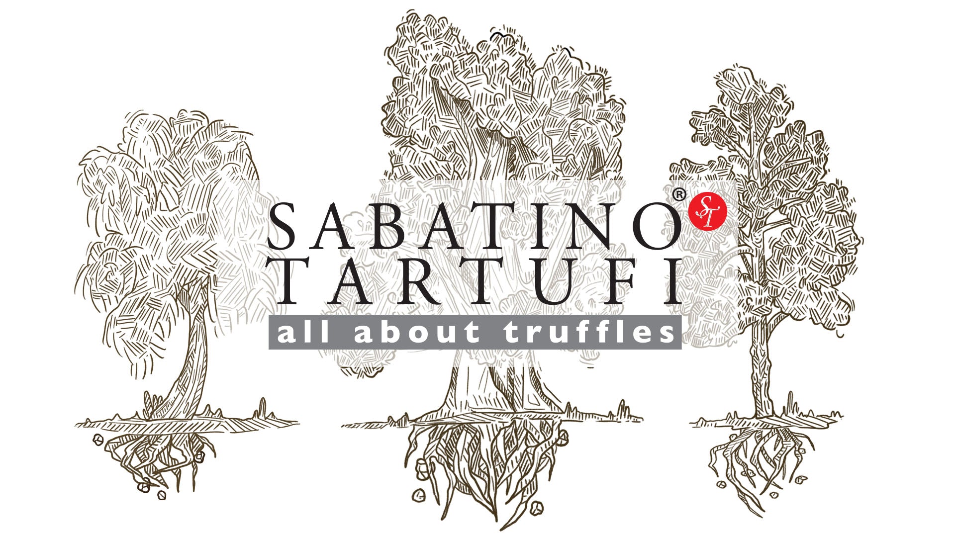 Types Of Fresh Truffles