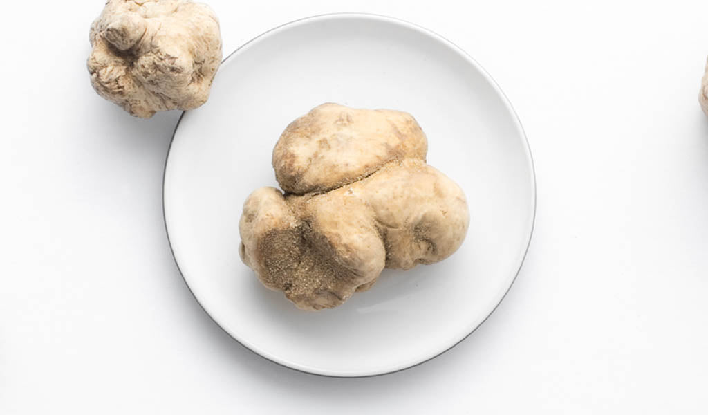 White Truffles 101 Video