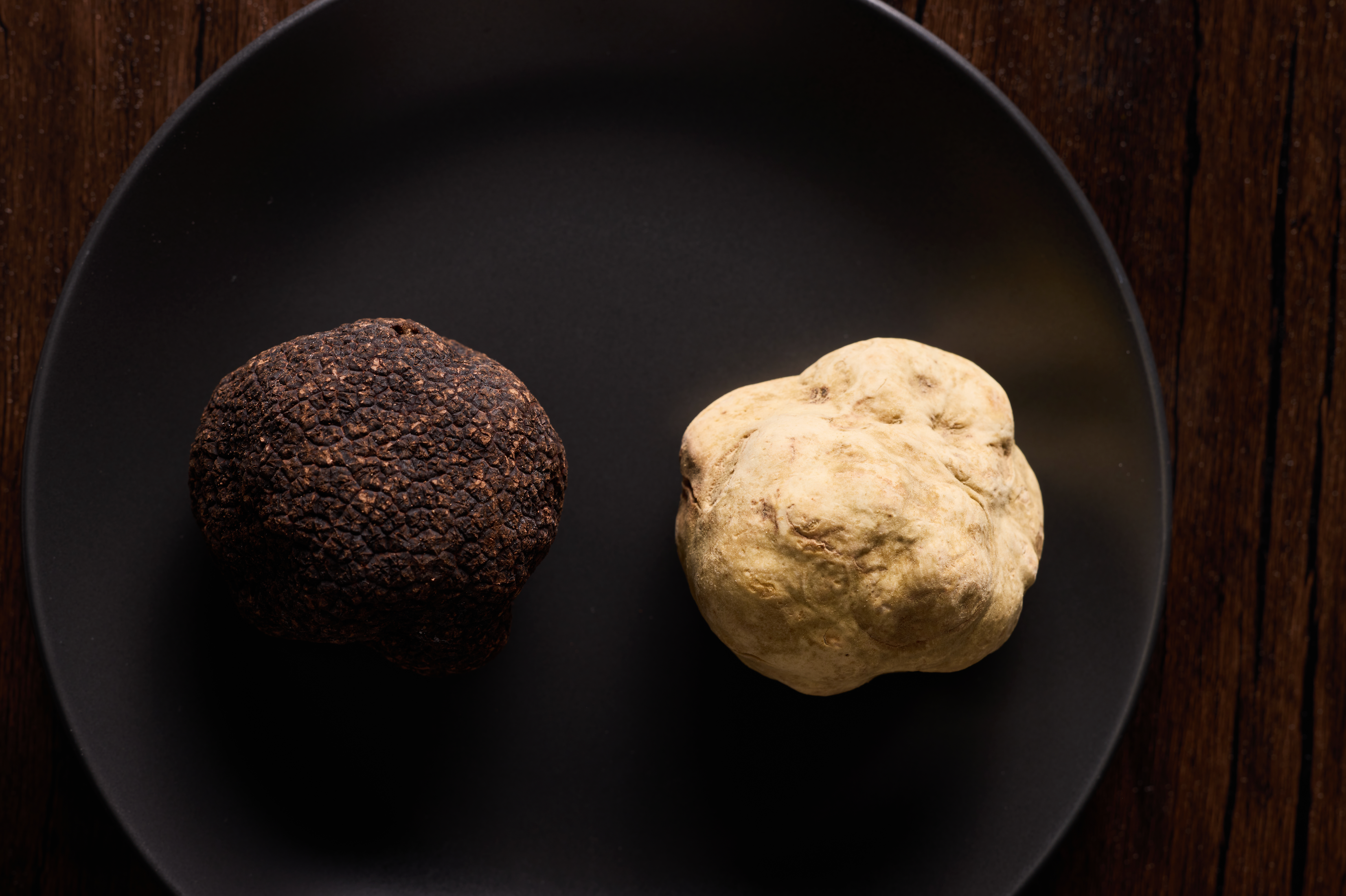 Black Truffles vs. White Truffles: What’s the Difference?