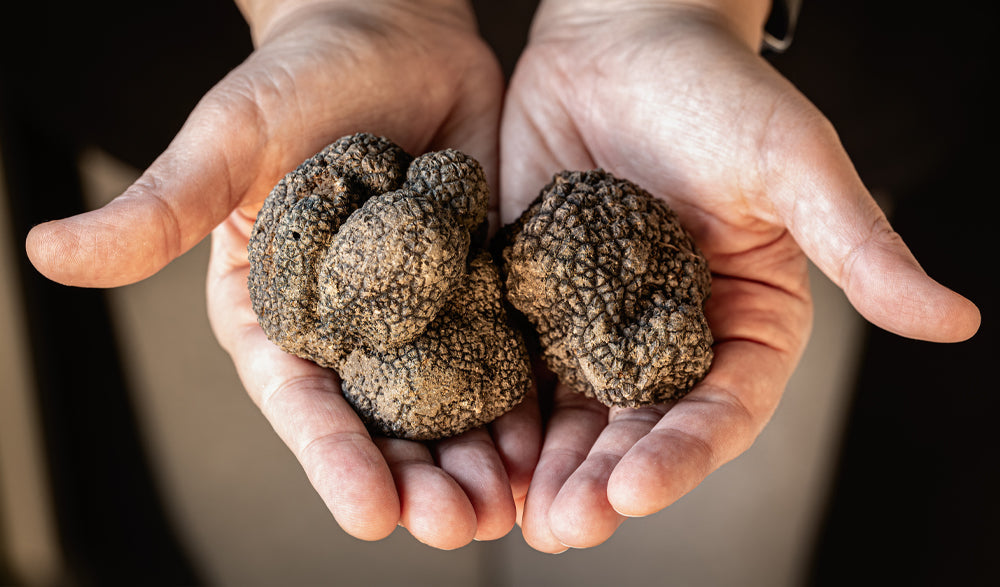 WHERE ARE TRUFFLES FOUND?