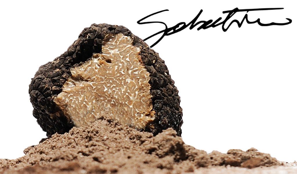 TRUFFLE ZEST® INGREDIENTS