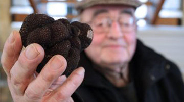 The Trouble With Truffles