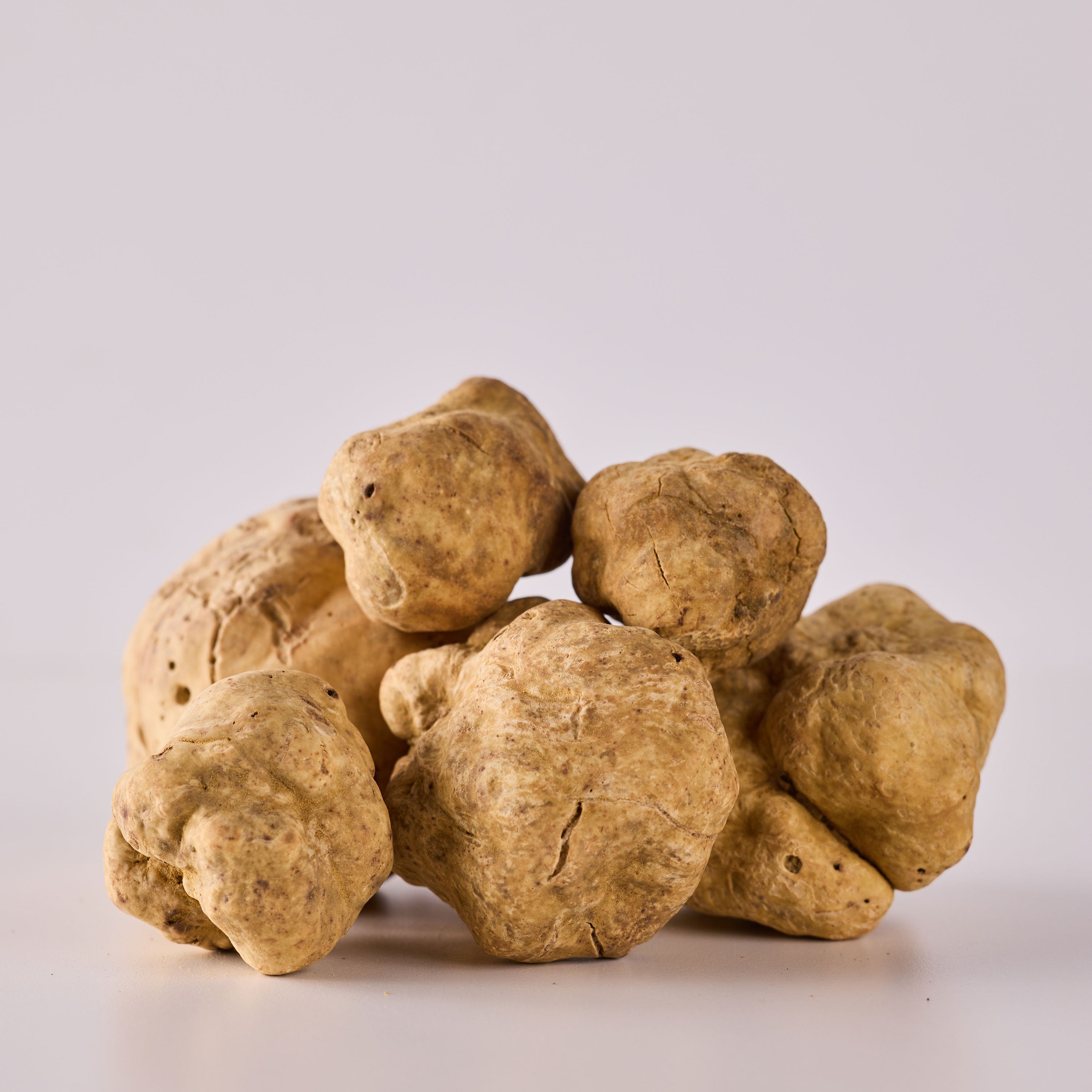 Fresh White Truffles - 16 oz