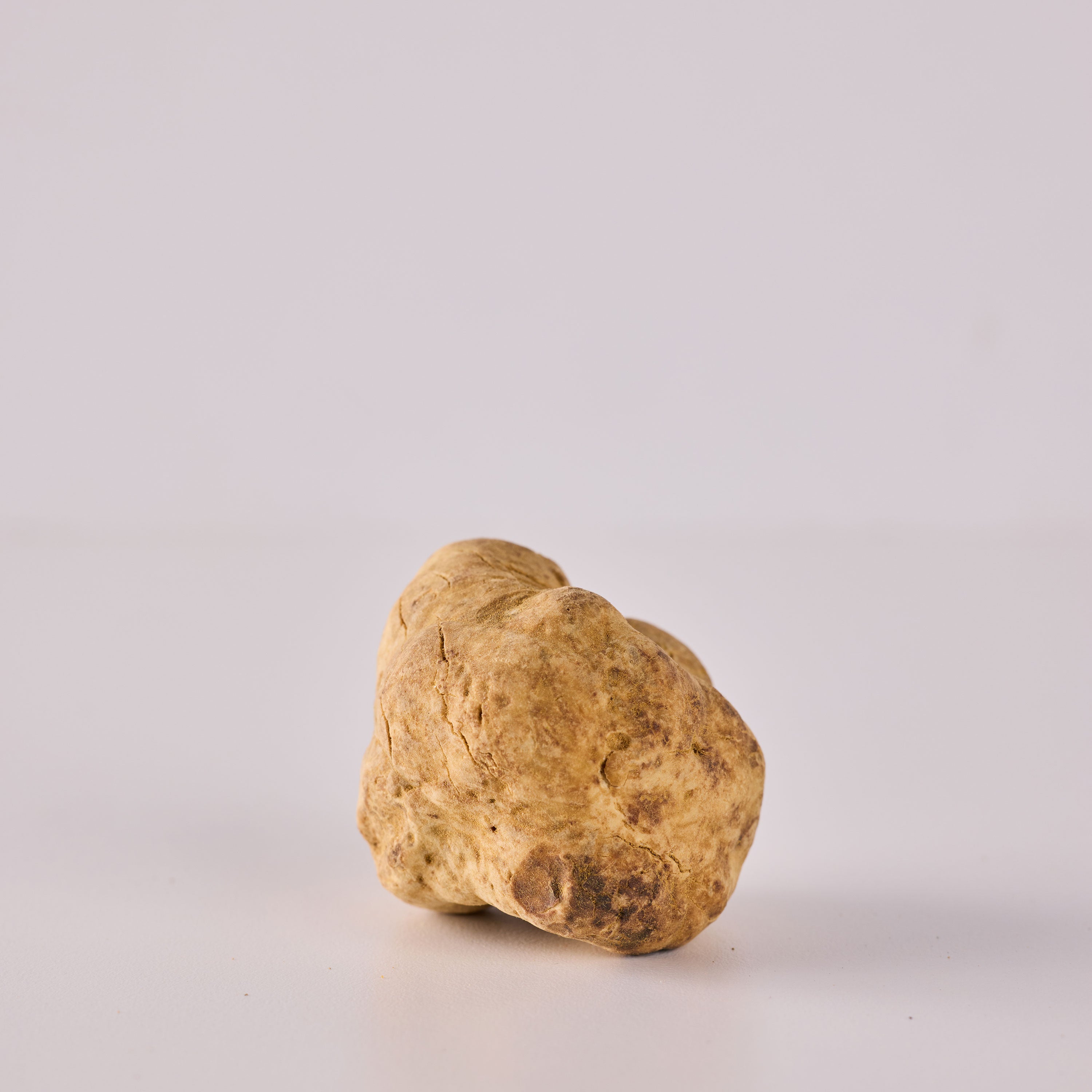 Fresh White Truffles - 1 oz