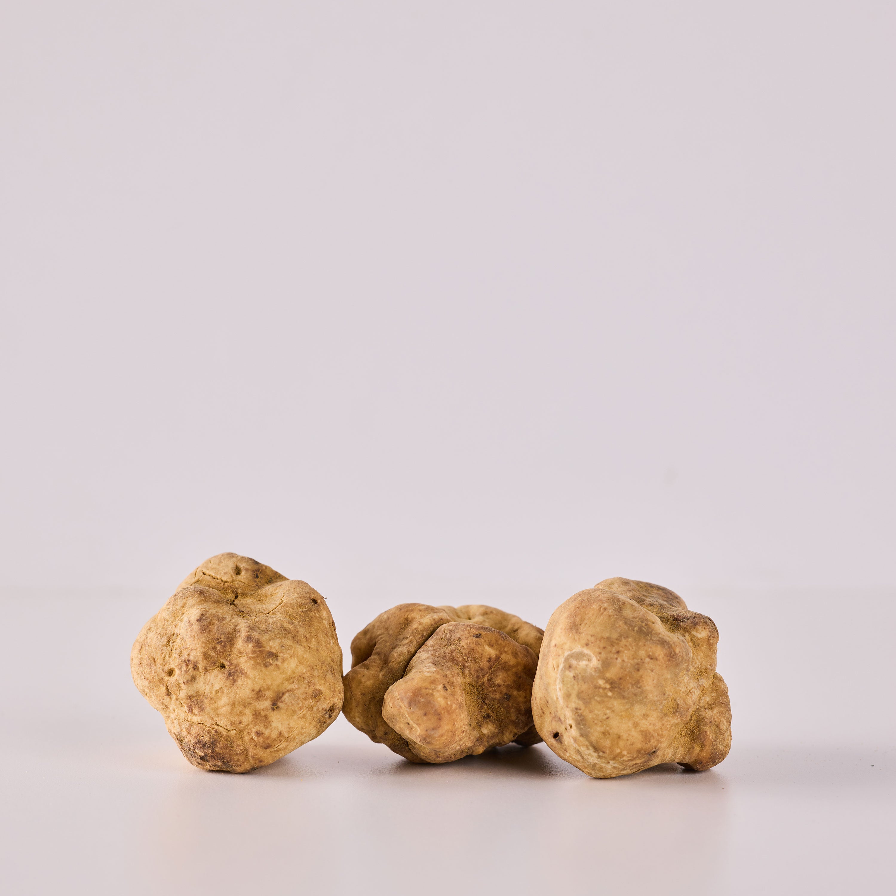 Fresh White Truffles - 3 oz