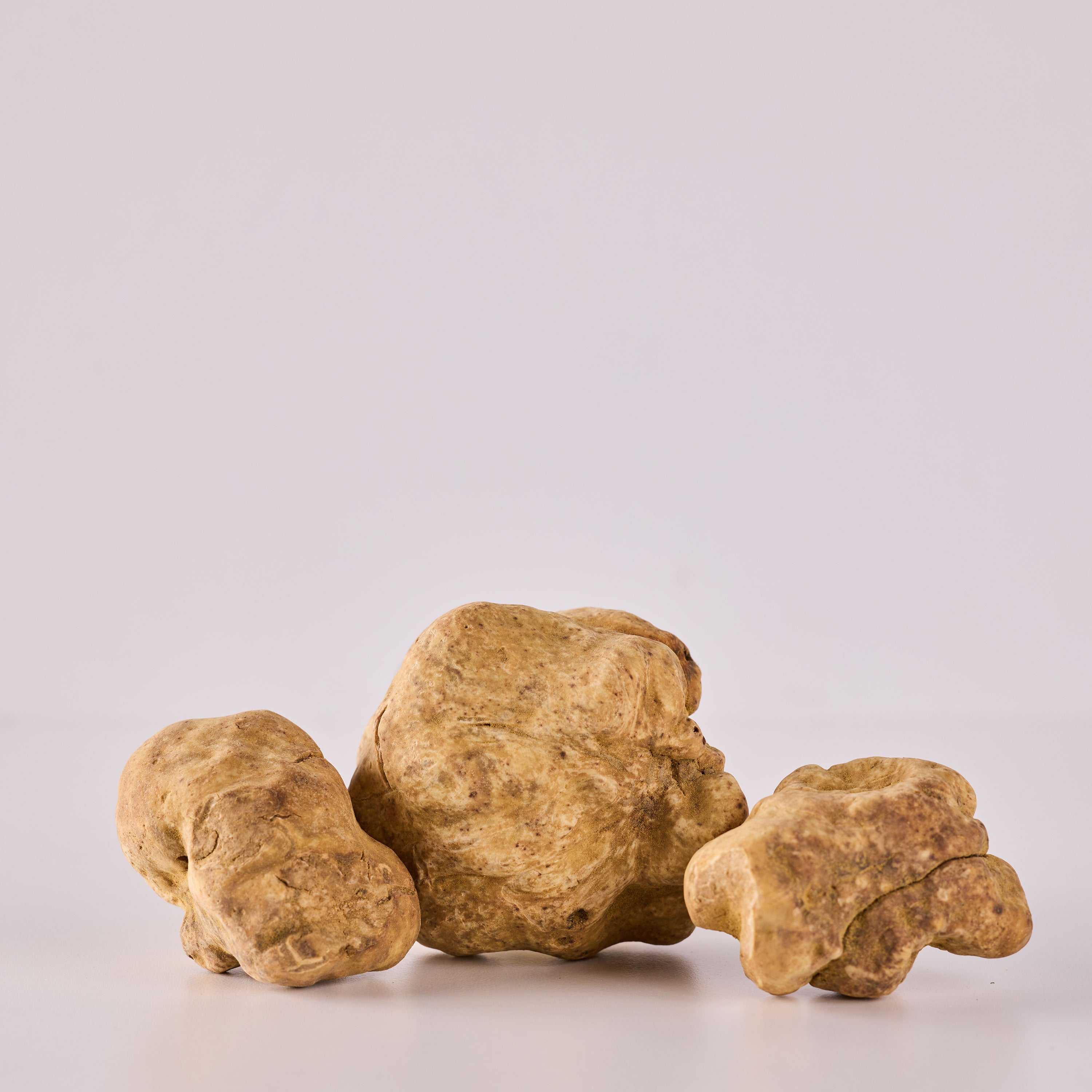Fresh White Truffles - 4 oz