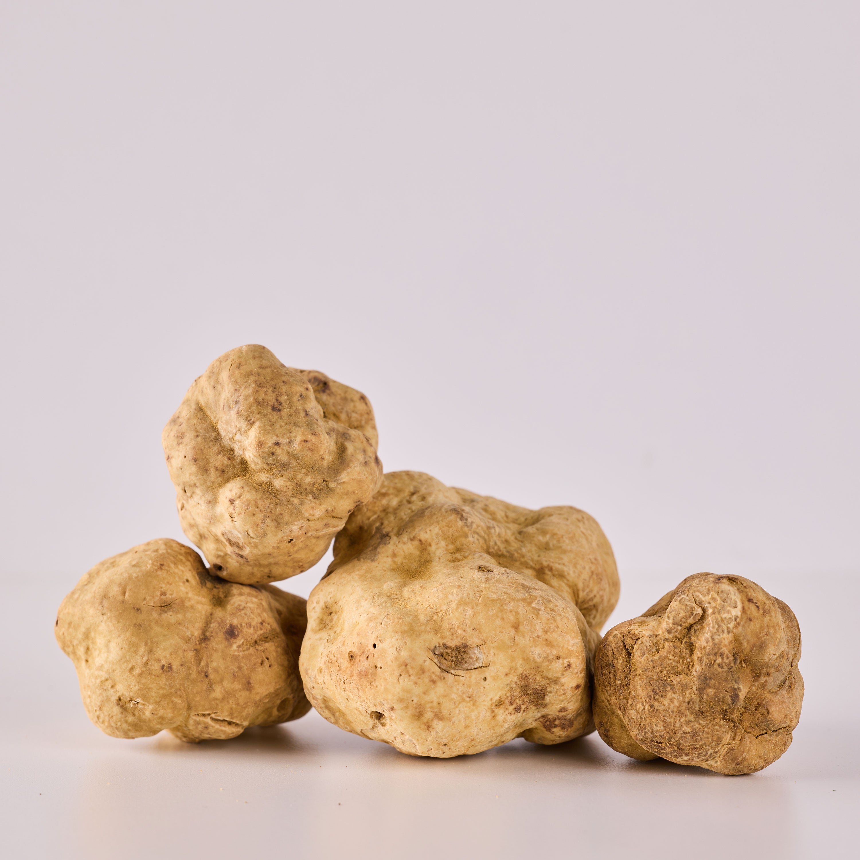 Fresh White Truffles - 8 oz