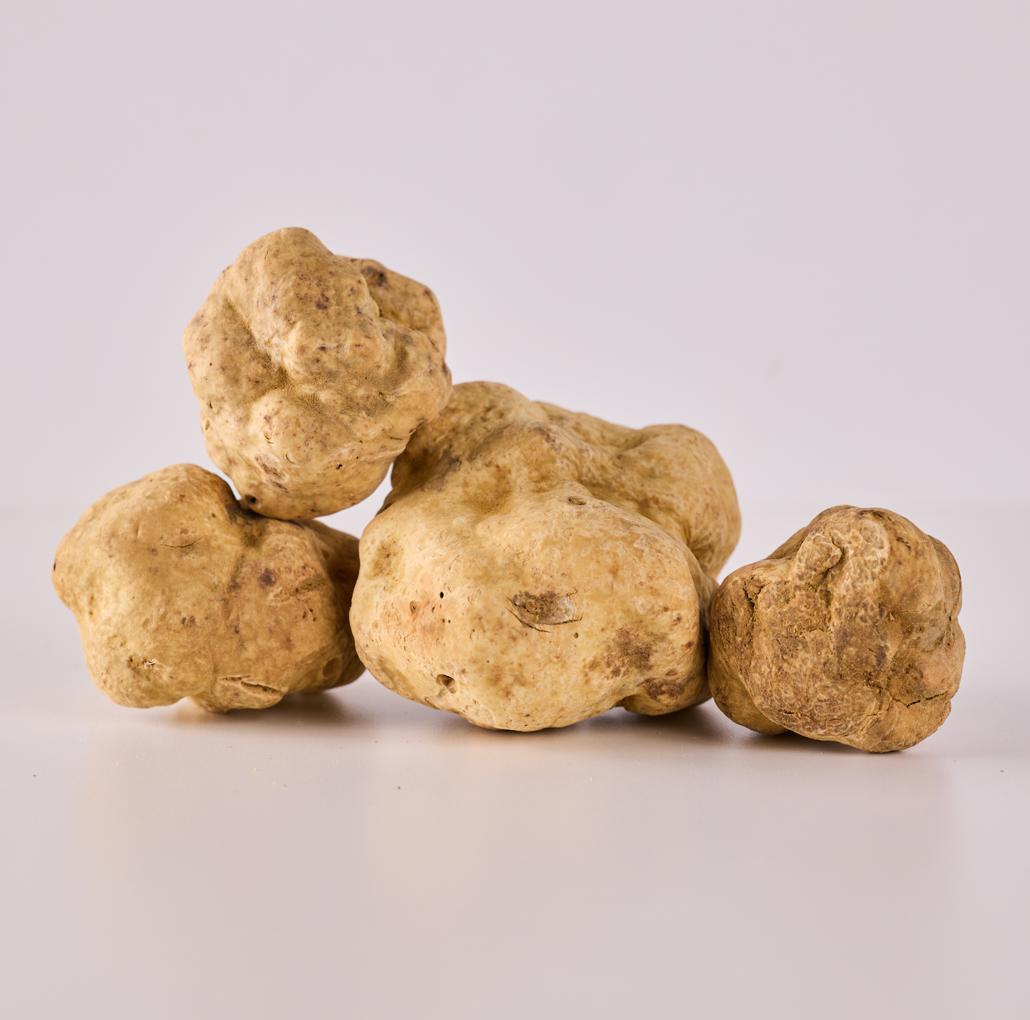 Fresh White Truffles - 8 oz