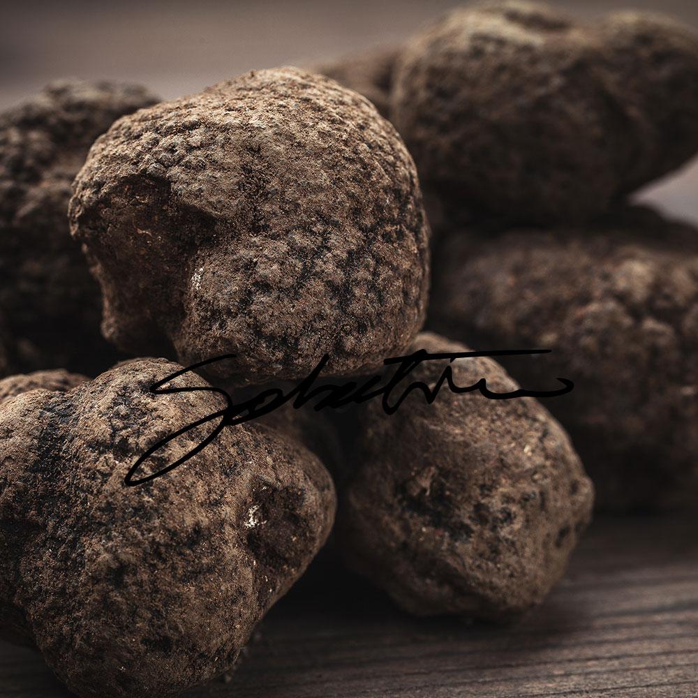 Fresh Black Burgundy Truffles - 4oz - Sabatino Truffles
