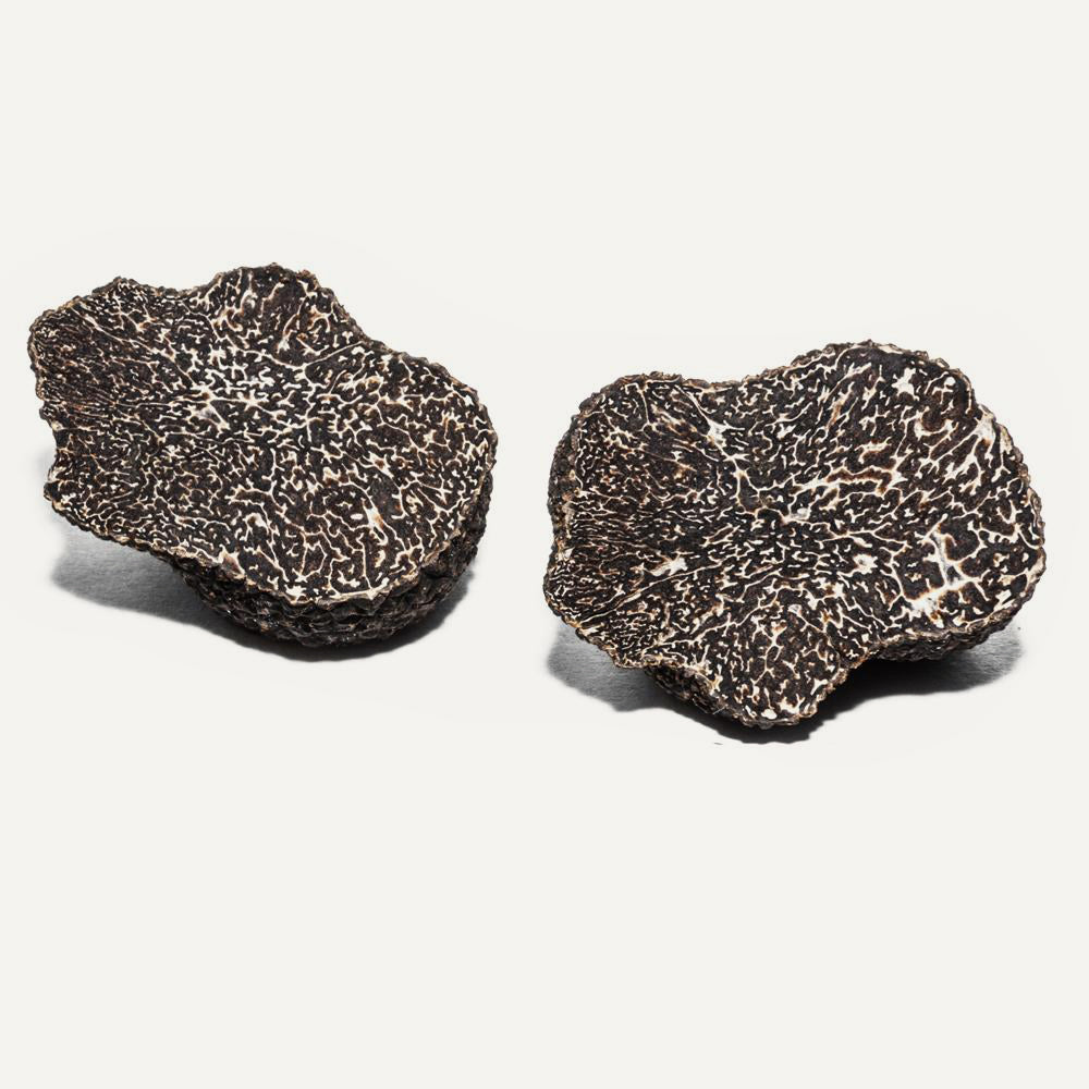 Fresh Australian Black Winter Truffles 2 oz Sabatino