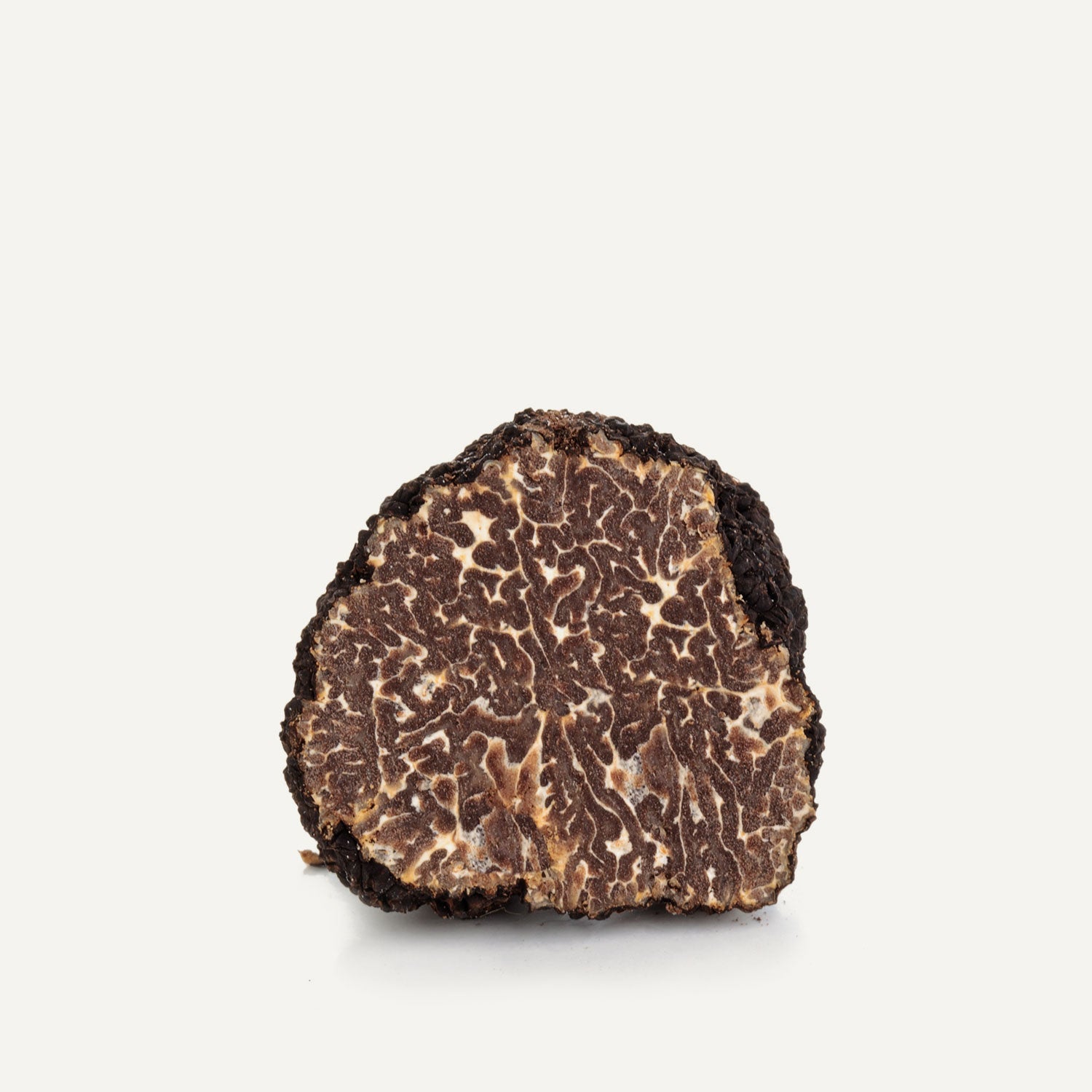 Fresh Black Burgundy Truffles - 1oz - Sabatino Truffles