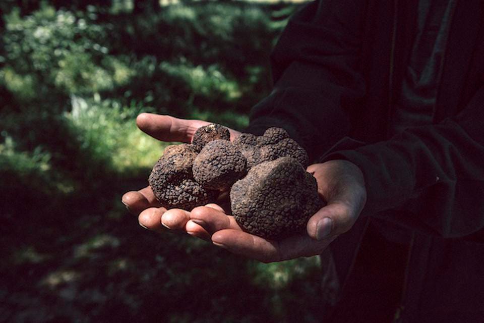 Forbes:  Valentine’s Day 2022 Gift Guide: The Best Truffled Treats