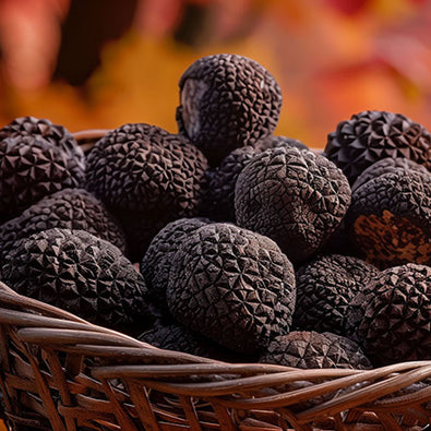 What are Burgundy Truffles?