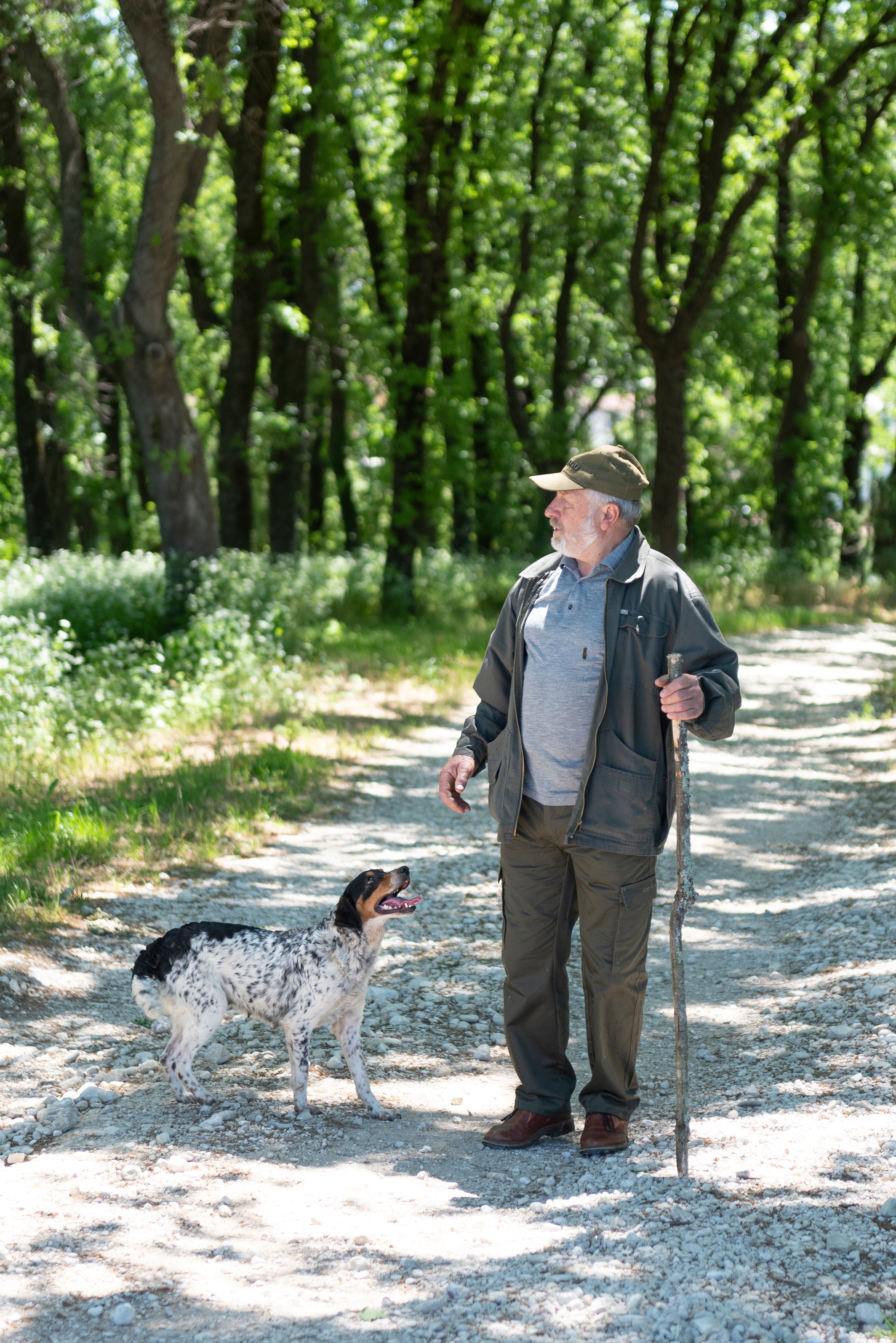 How Weather Impacts Truffle Growth and Harvest