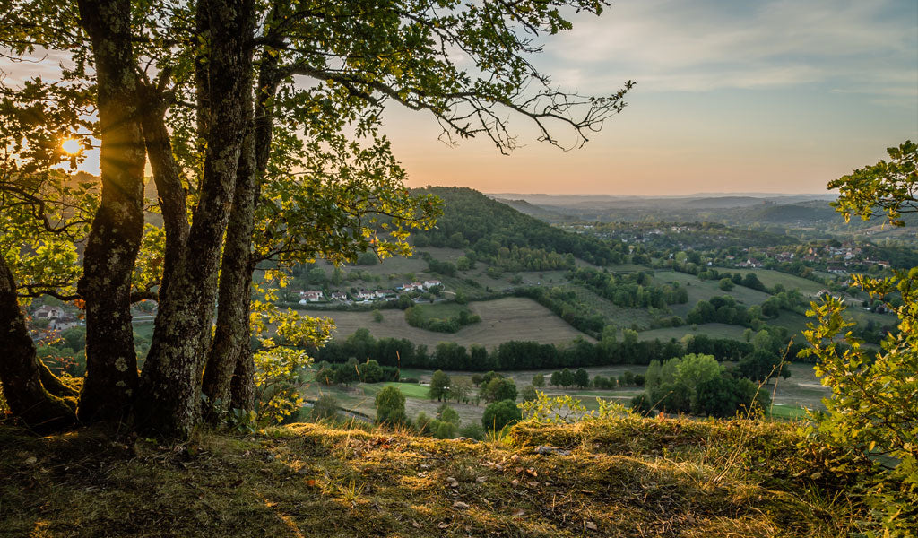 TRUFFLE LEGEND FROM PERIGORD REGION