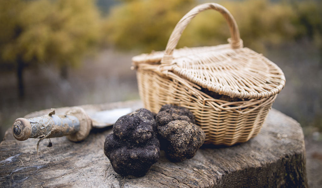 TRUFFLE FAQ's