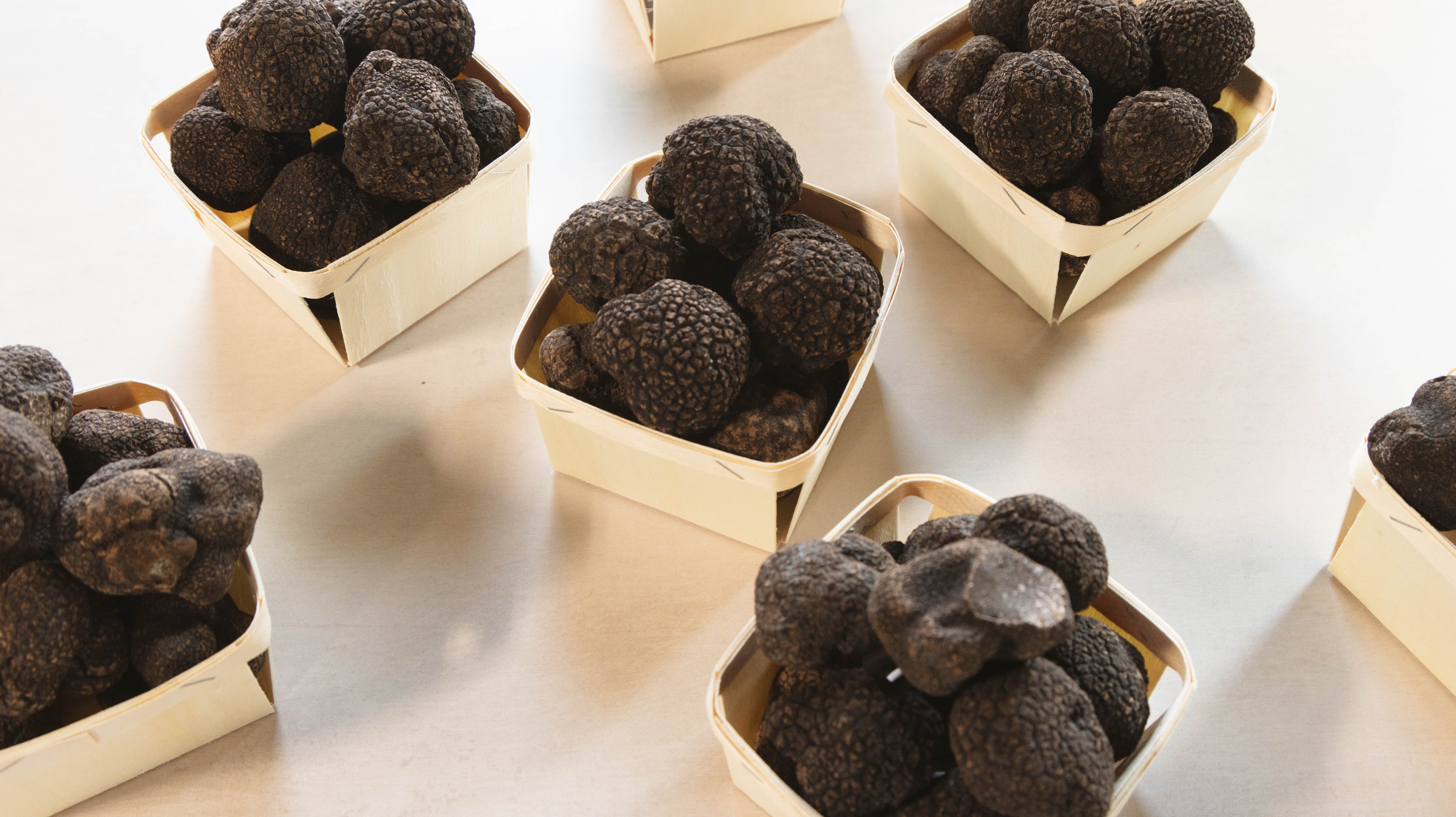 Fresh Black Summer Truffles - 1 oz