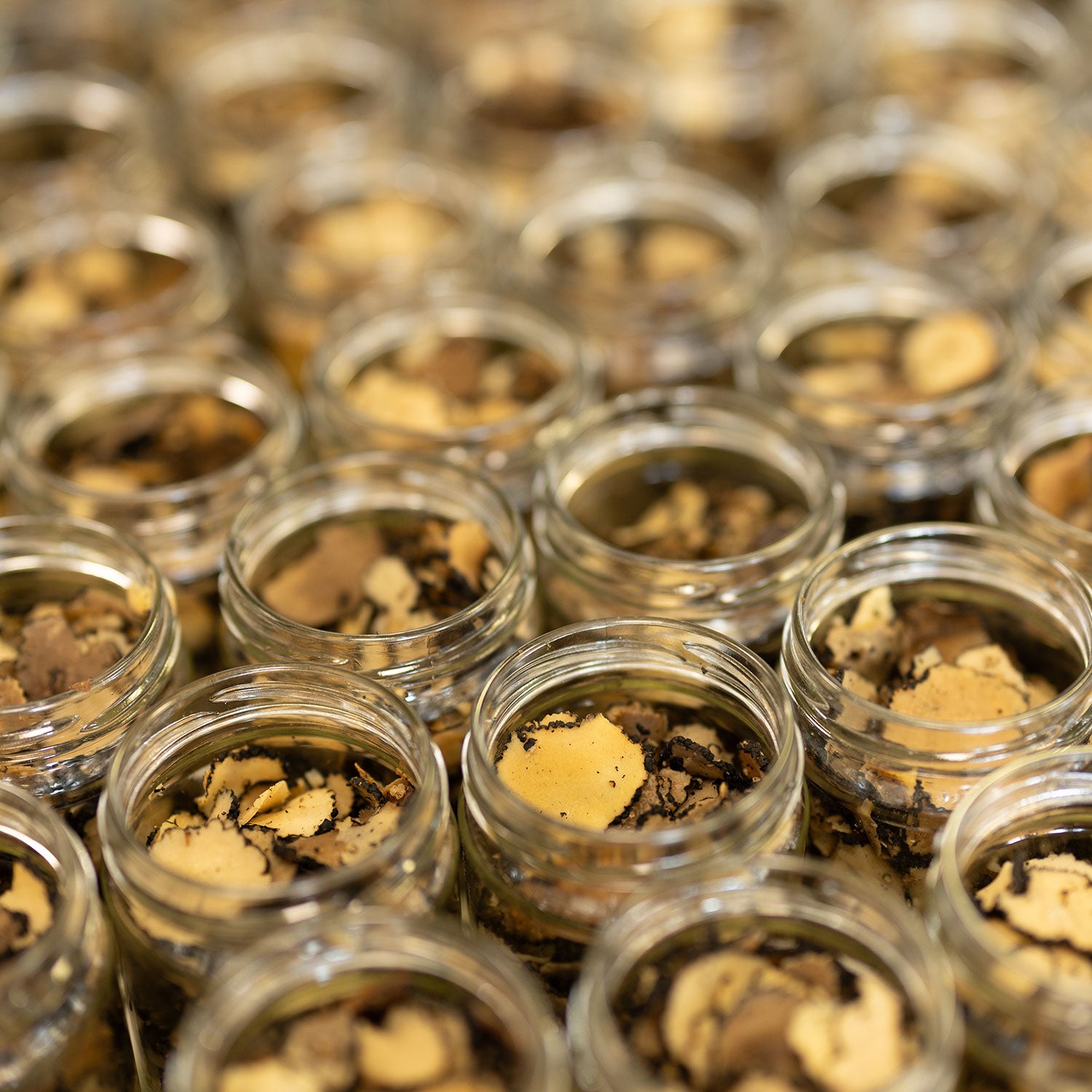 Close-up of small glass jars filled with truffle peelings