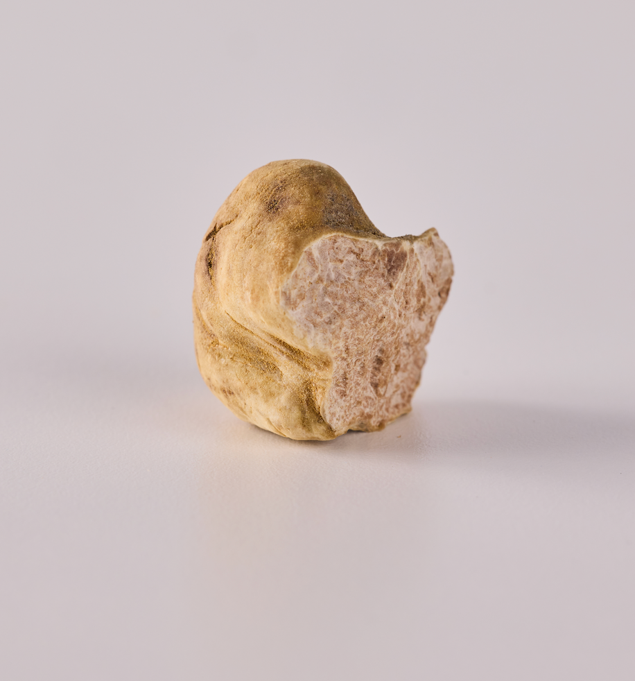 Fresh White Truffles - 1/2 oz