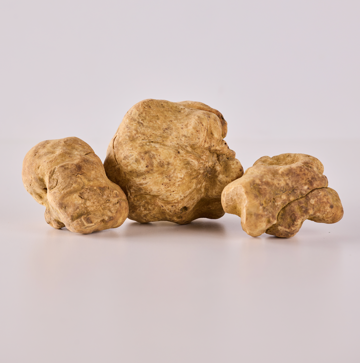 Fresh White Truffles - 4 oz
