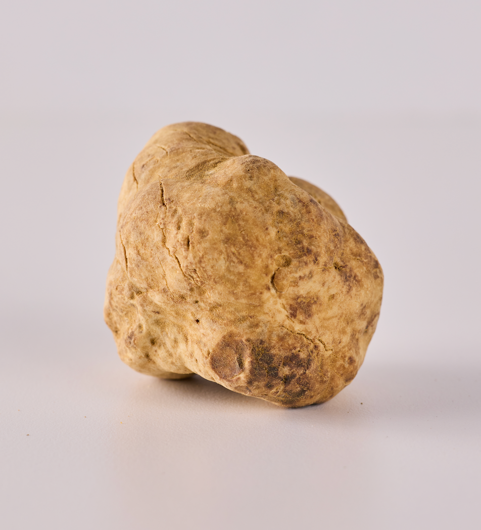 Fresh White Truffles - 1 oz