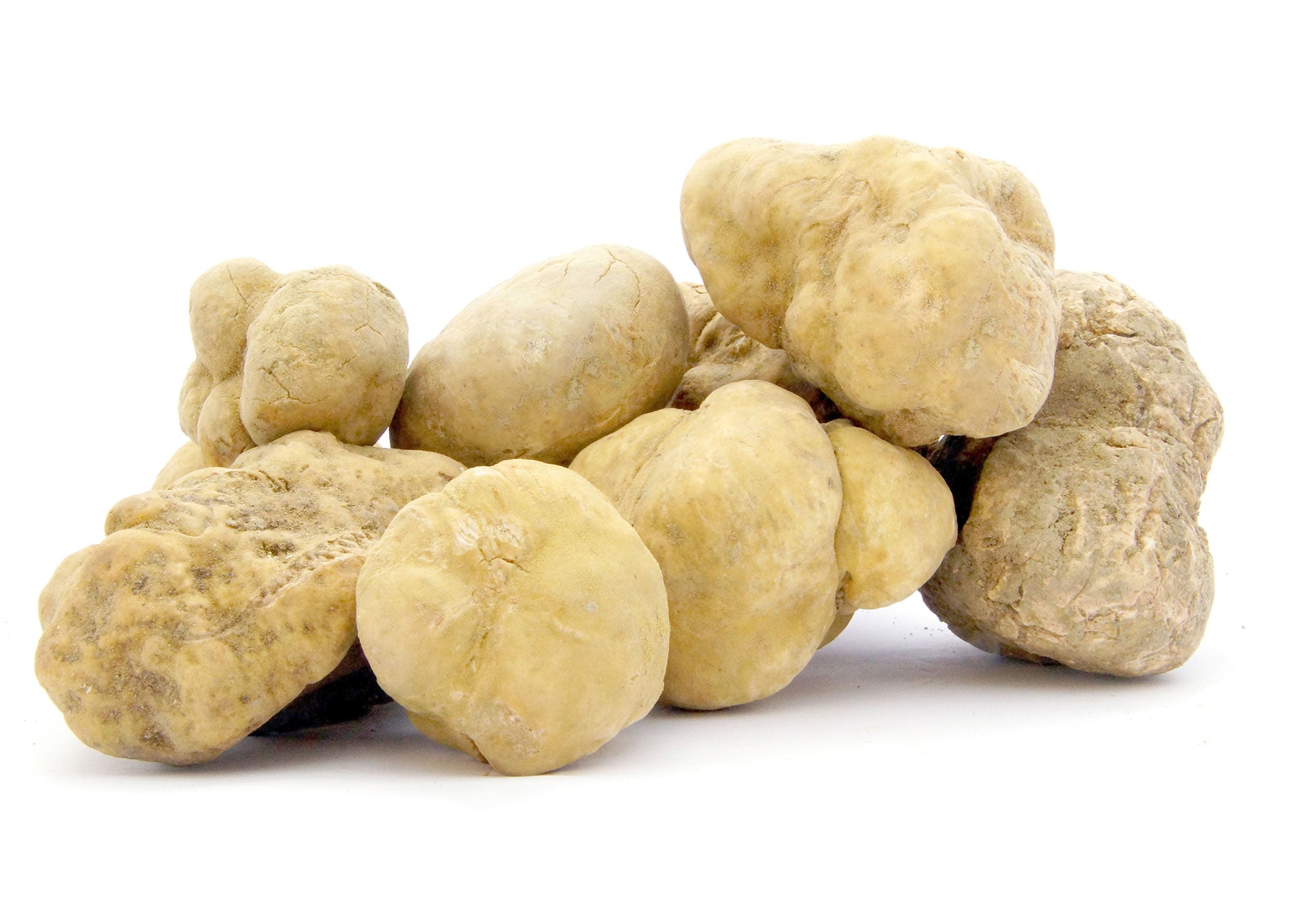 Pile of white truffles on a white background