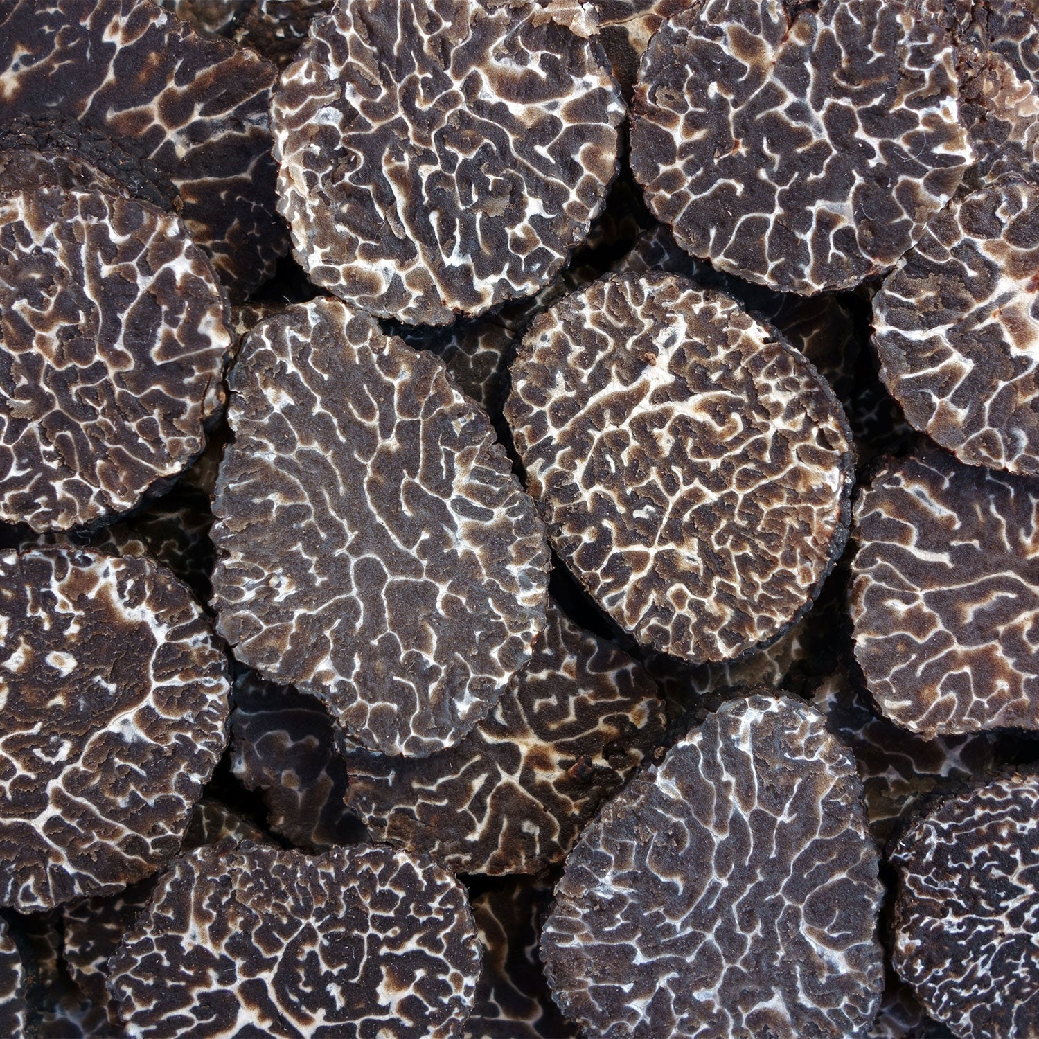Fresh Black Winter Truffles 8 oz (Tuber Melanosporum) - Sabatino Truffles