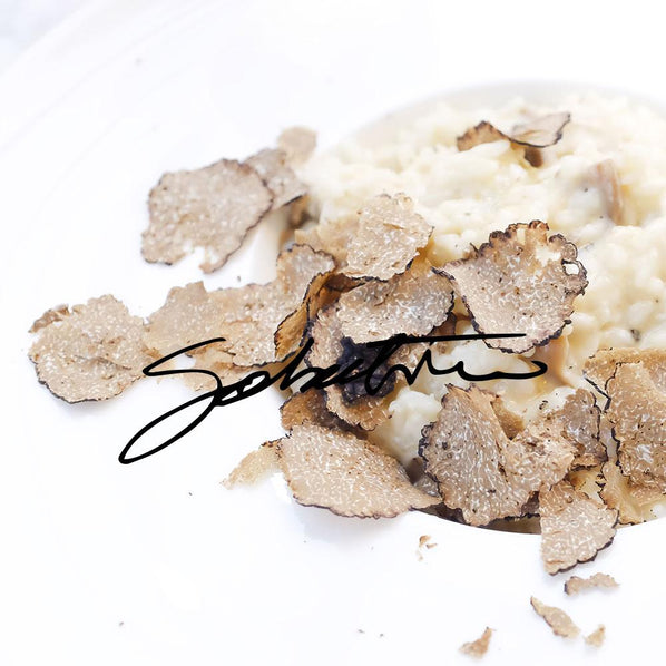 Fresh Black Burgundy Truffles - 16oz - Sabatino Truffles