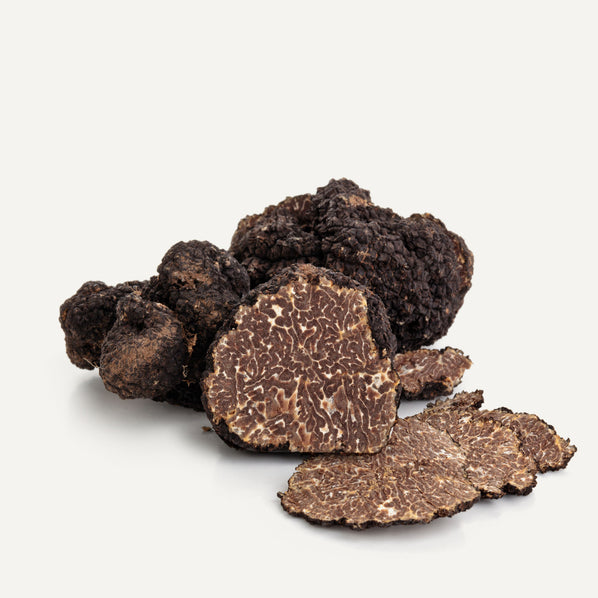Fresh Black Burgundy Truffles - 16oz - Sabatino Truffles