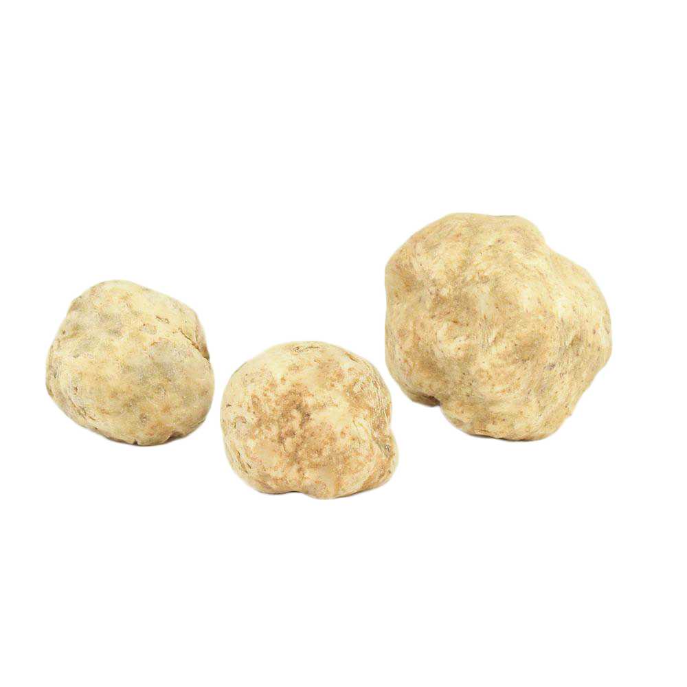 Fresh White Truffles 2 oz (Tuber Magnatum Pico) - Sabatino Truffles