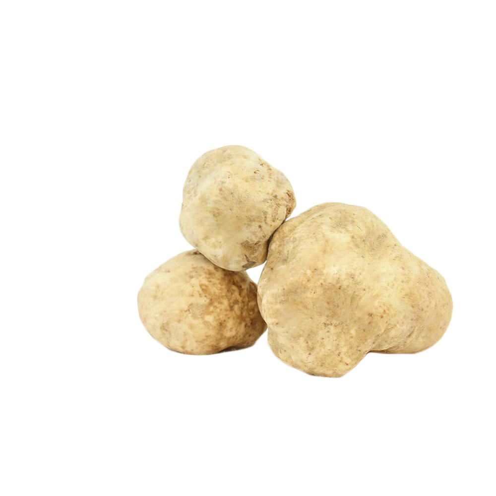 Fresh White Truffles 3 oz (Tuber Magnatum Pico) - Sabatino Truffles