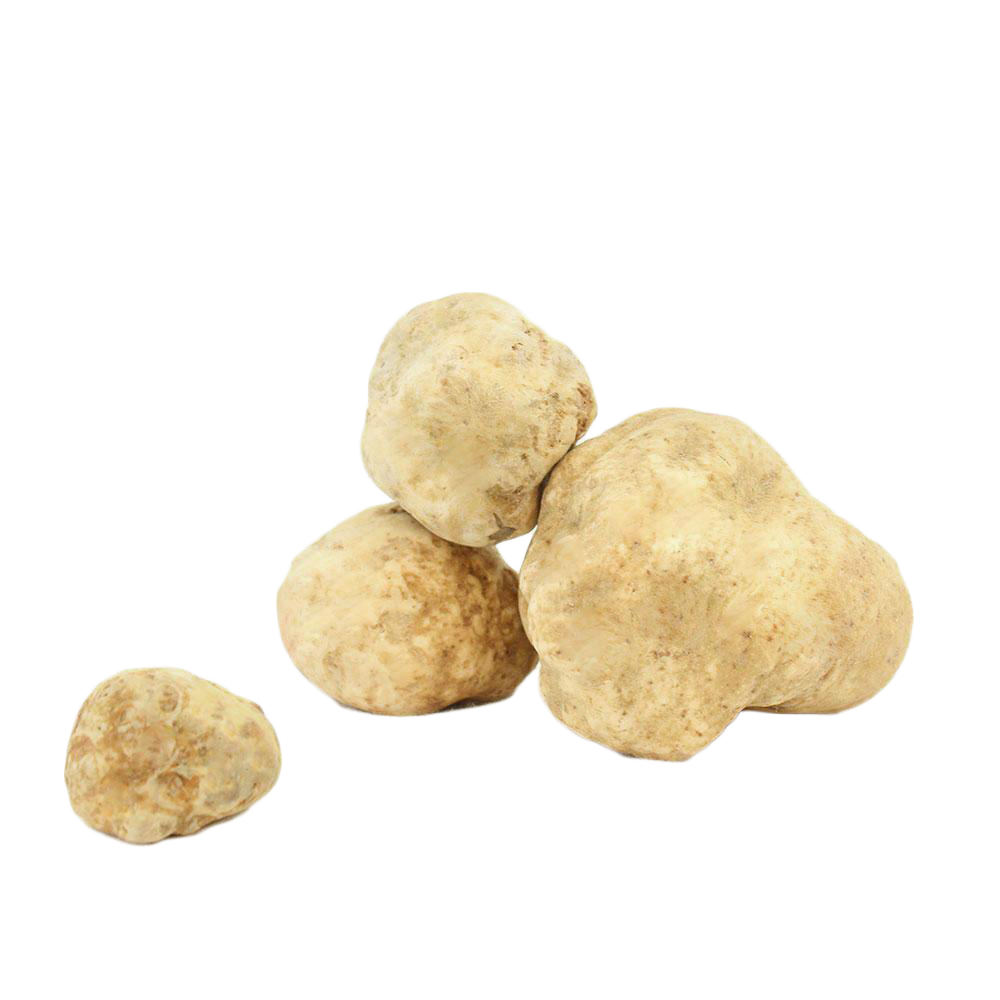 Fresh White Truffles 4 oz (Tuber Magnatum Pico) - Sabatino Truffles